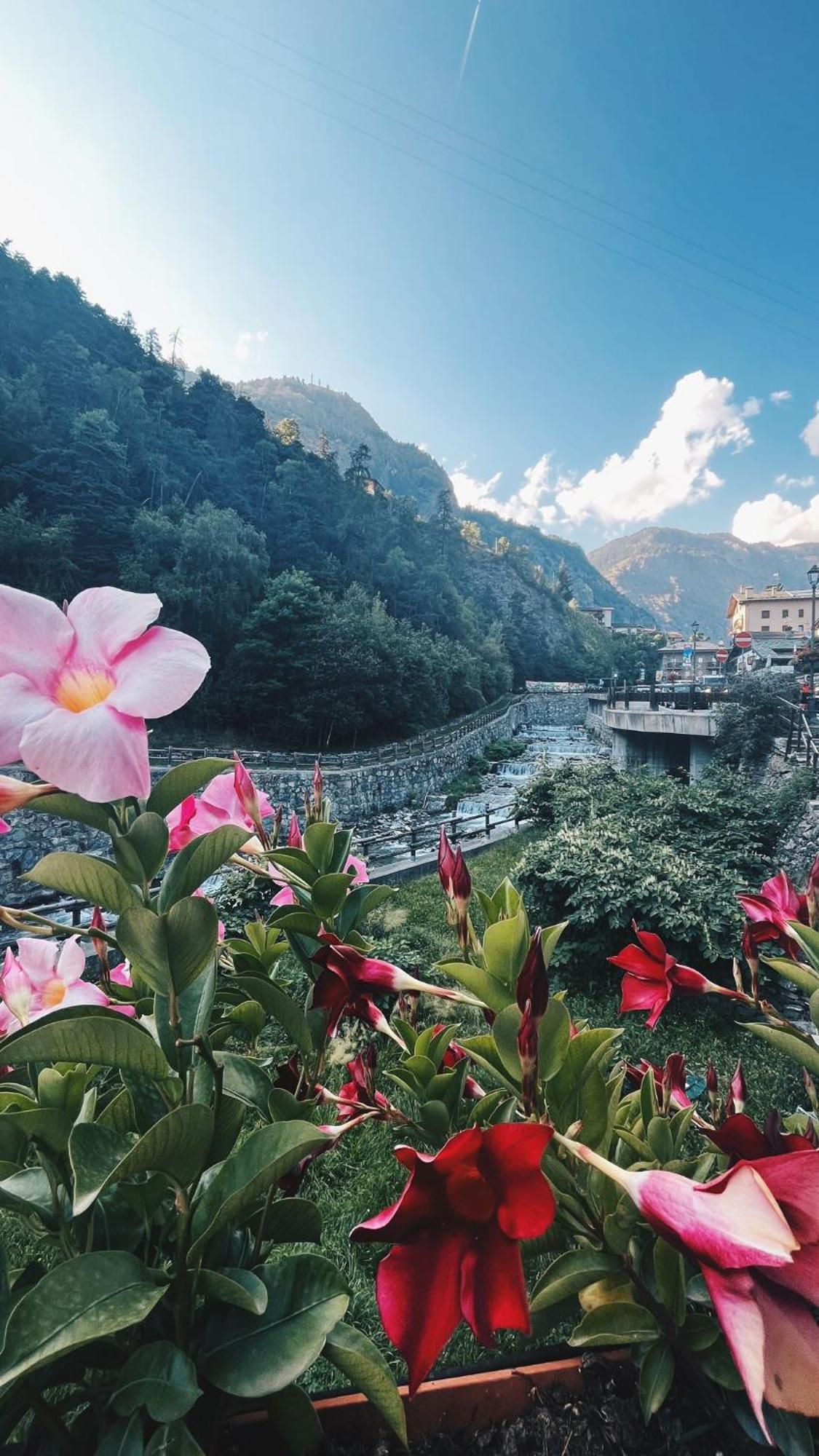Locanda Monte Cervino Antey-Saint-Andre Ngoại thất bức ảnh